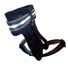 Load image into Gallery viewer, DC'S REMOTE CONTROL LED PET HARNESS
